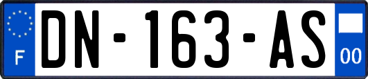 DN-163-AS