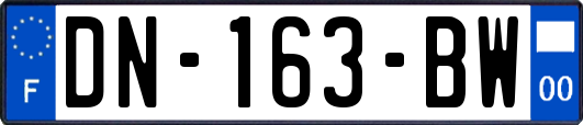 DN-163-BW