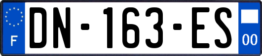 DN-163-ES