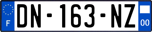 DN-163-NZ