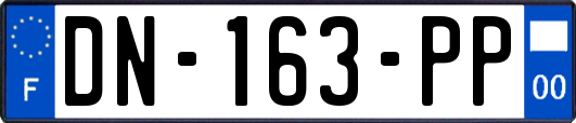 DN-163-PP