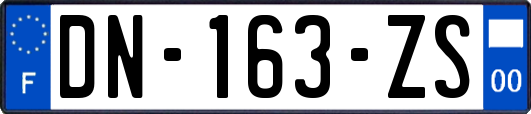 DN-163-ZS