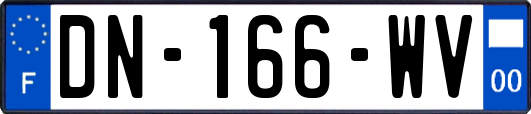 DN-166-WV
