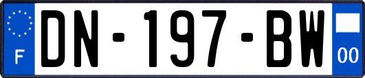 DN-197-BW