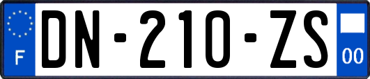 DN-210-ZS