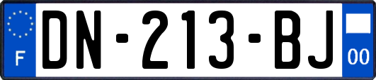 DN-213-BJ