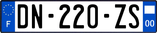 DN-220-ZS