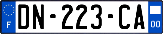 DN-223-CA