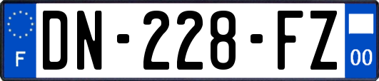 DN-228-FZ