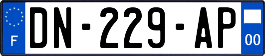 DN-229-AP