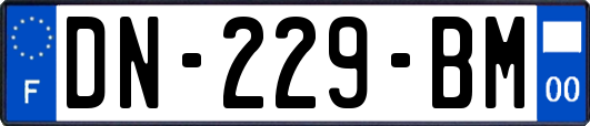 DN-229-BM