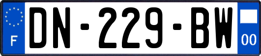 DN-229-BW