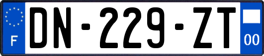 DN-229-ZT