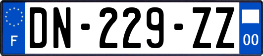 DN-229-ZZ