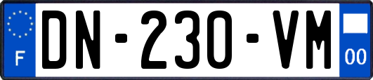 DN-230-VM