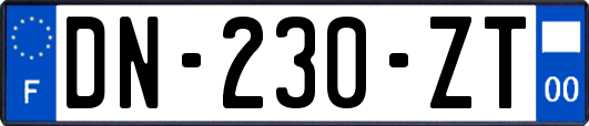 DN-230-ZT