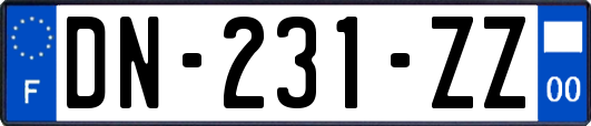 DN-231-ZZ