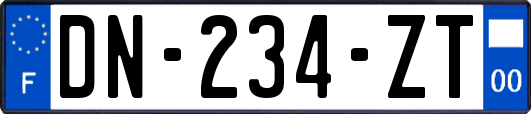 DN-234-ZT