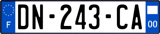 DN-243-CA