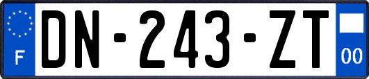 DN-243-ZT