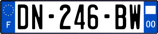 DN-246-BW