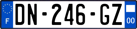 DN-246-GZ