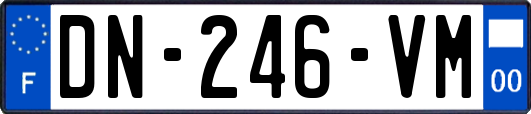 DN-246-VM