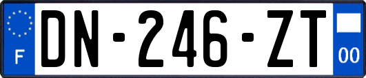 DN-246-ZT