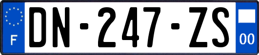 DN-247-ZS