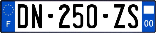 DN-250-ZS