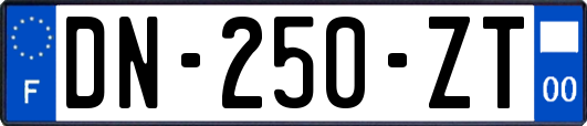 DN-250-ZT