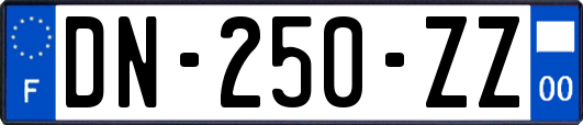 DN-250-ZZ