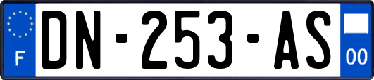 DN-253-AS