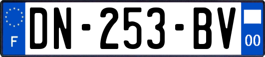 DN-253-BV