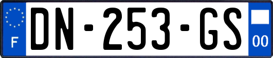 DN-253-GS