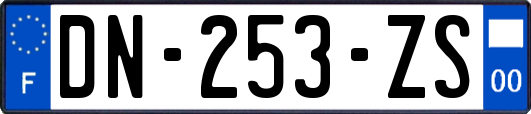 DN-253-ZS