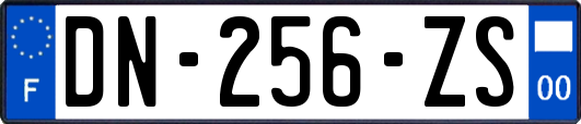 DN-256-ZS