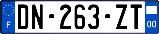 DN-263-ZT