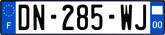 DN-285-WJ