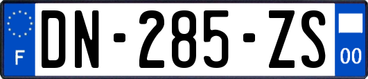 DN-285-ZS