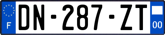 DN-287-ZT