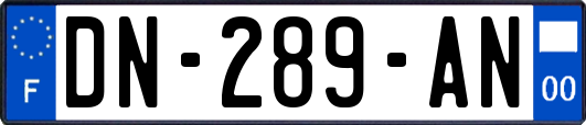 DN-289-AN