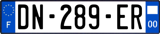 DN-289-ER