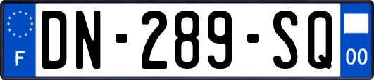 DN-289-SQ