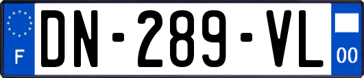 DN-289-VL