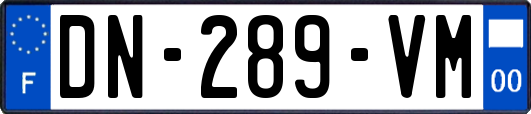 DN-289-VM