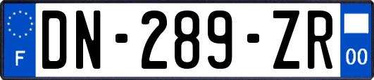 DN-289-ZR