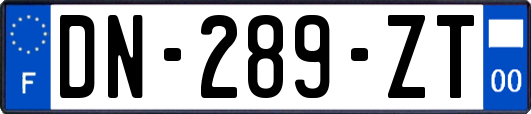 DN-289-ZT