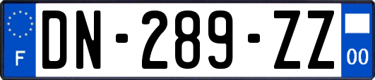 DN-289-ZZ