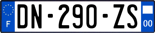 DN-290-ZS